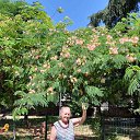 ���� ������, �������, 72 ���� - ��������� 4 ������� 2022