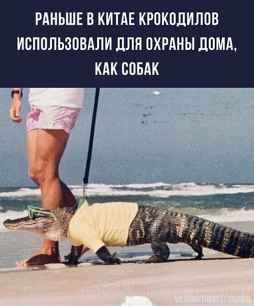 BEST | , ,  - 2  2022  07:56