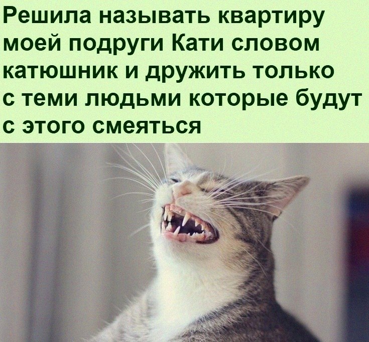   :D - 19  2022  12:34
