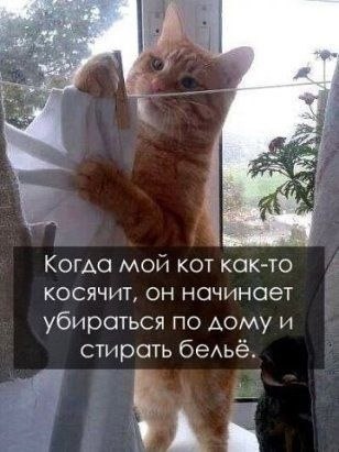    - 1  2022  00:42