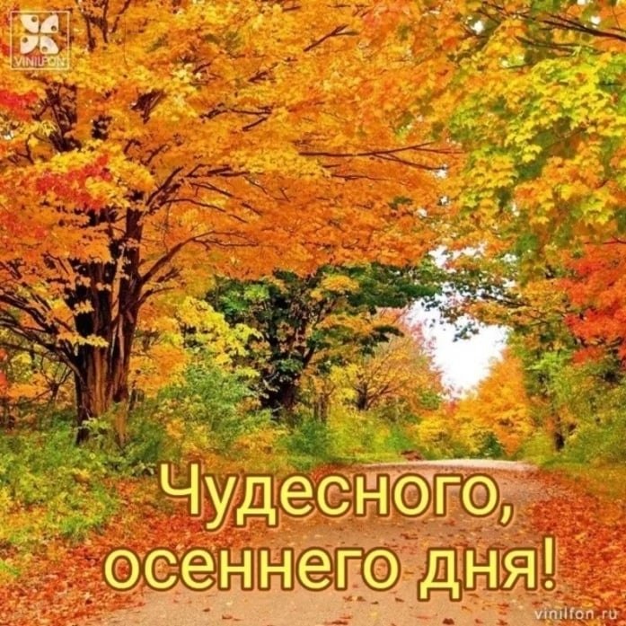   ,    . - 22  2022  14:23