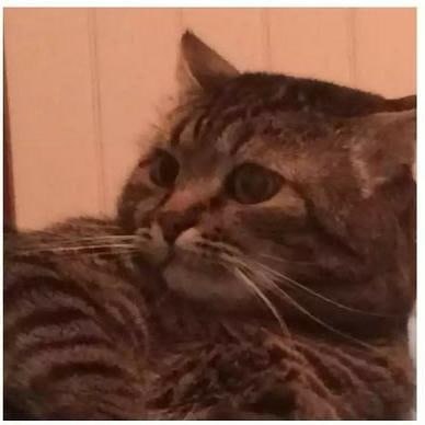 ��� ���� � ����� �� �� - 26 ����� 2022 � 13:05 - 3