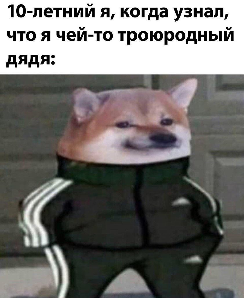 ☆ ☆ - 22  2022  12:36