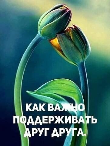 Даже всячески избегая встреч...... Предназначенное.......НЕИЗБЕЖНО!...... Чувства дают окрылённость ...
