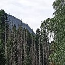 ���� �������, ���������, 62 ���� - ��������� 19 ���� 2022 � ������ ���� ����������