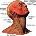 ���� �����, ������, 36 ��� - ��������� 4 ������� 2023 � ������ ���� ����������