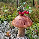 ���� �����, ���������� - ��������� 22 ������� 2022 � ������ ���� ����������