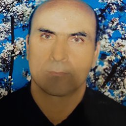  , , 53  -  11  2023