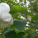 ���� ����������, ����������, 51 ��� - ��������� 18 ���� 2022 � ������ ���� ����������