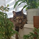 ���� ��������, �����, 59 ��� - ��������� 12 ����� 2022 � ������ ���� ����������