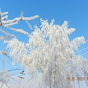 ���� ���������, ��������� - ��������� 10 ������� 2022 � ������ ���� ����������