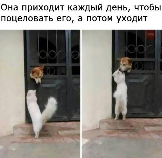    - 10  2022  21:21