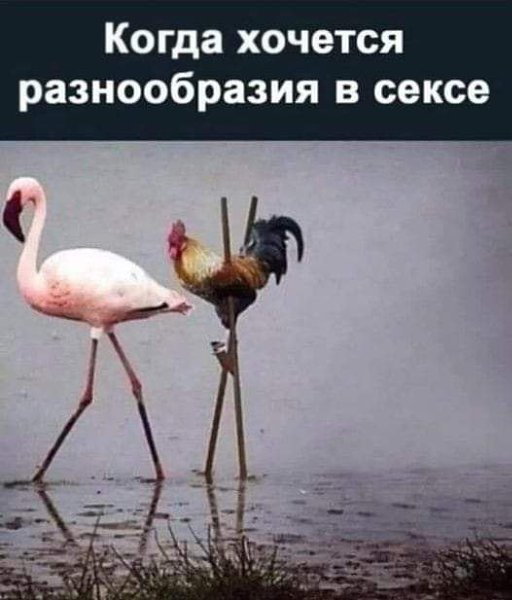 :)