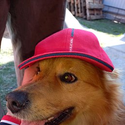 ���� ����, ���������, 51 ��� - ��������� 19 ������� 2023