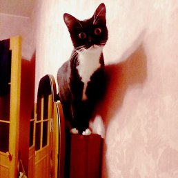 �����, ������������, 57 ���