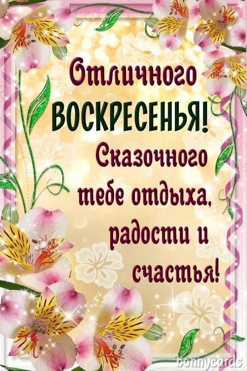   ,    . - 13  2022  10:40