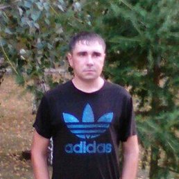 �����, ��������, 39 ���