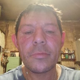 ������, ���������, 48 ���