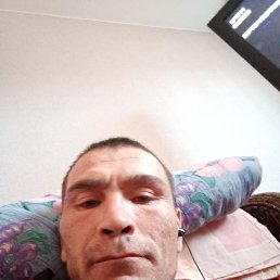 , 42, 