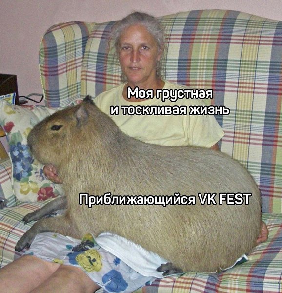 VK Fest возвращается сразу в три города! Музыканты, блогеры, паблики и ещё куча всего! Лови ссылку ...