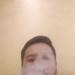 ���� ����������, �������, 33 ���� - ��������� 27 ������ 2022