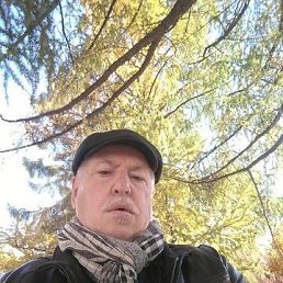 ���� ��������, �������, 72 ���� - ��������� 19 ������� 2022