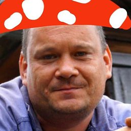 �����, �������, 52 ����