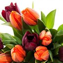 ���� ������, ���������, 47 ��� - ��������� 3 ���� 2022 � ������ ���� ����������