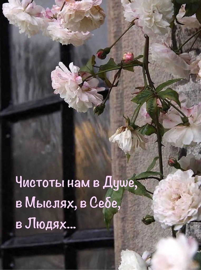   - 21  2022  05:40