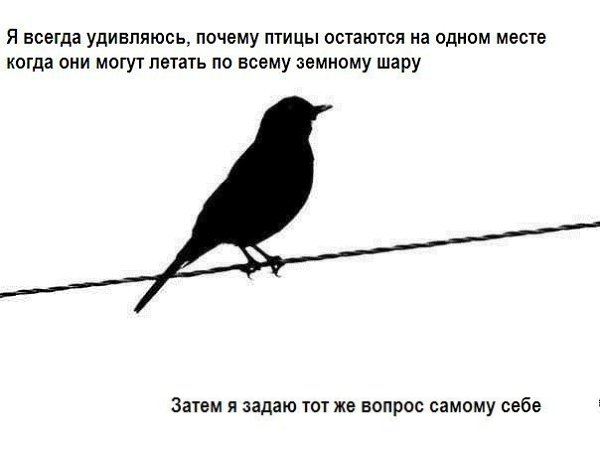 При ближайшем рассмотрении мне вообще становится ясно, что те перемены, которые как будто наступают ...