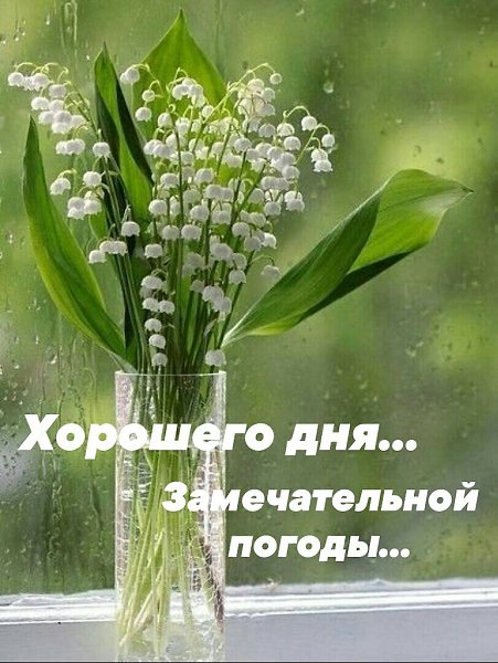   ,    . - 16  2022  12:52 - 4