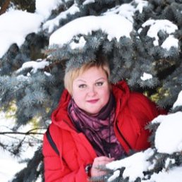 ���������, ����, 41 ���