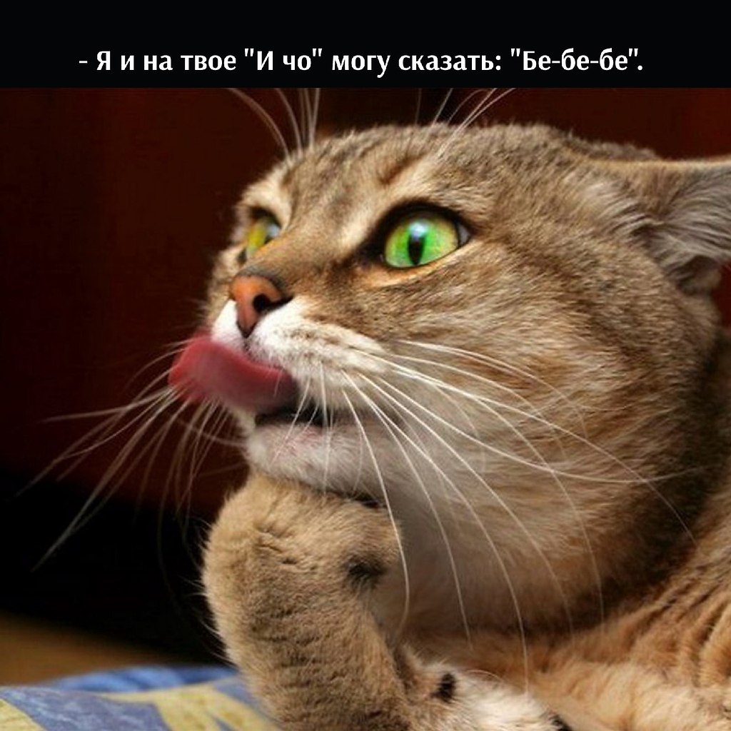       - 25  2022  19:33 - 3