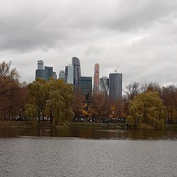 ��������, ������, 73 ����