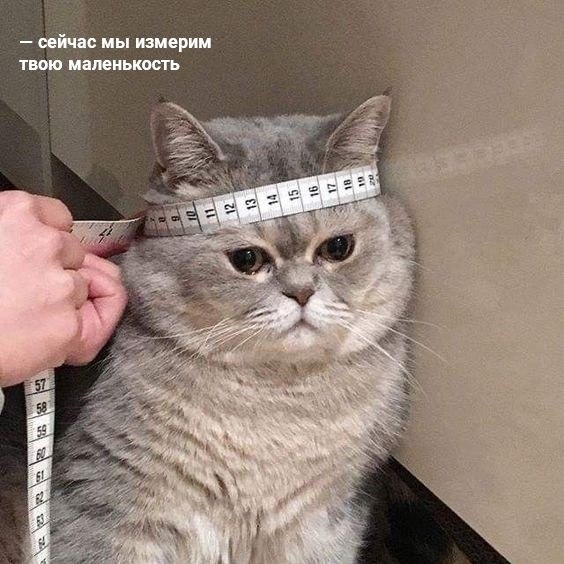  :  ,  .   :