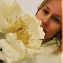 ���� ����, ����� - ��������� 28 ������ 2022 � ������ ���� ����������