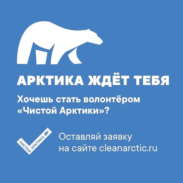 Организаторы проекта «Чистая Арктика» утвердили новые локации для арктической уборки в ЯНАО.Высадка ... - 6