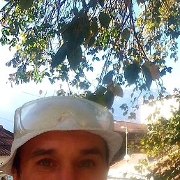 ���� �����, �����������, 42 ���� - ��������� 13 ������� 2022