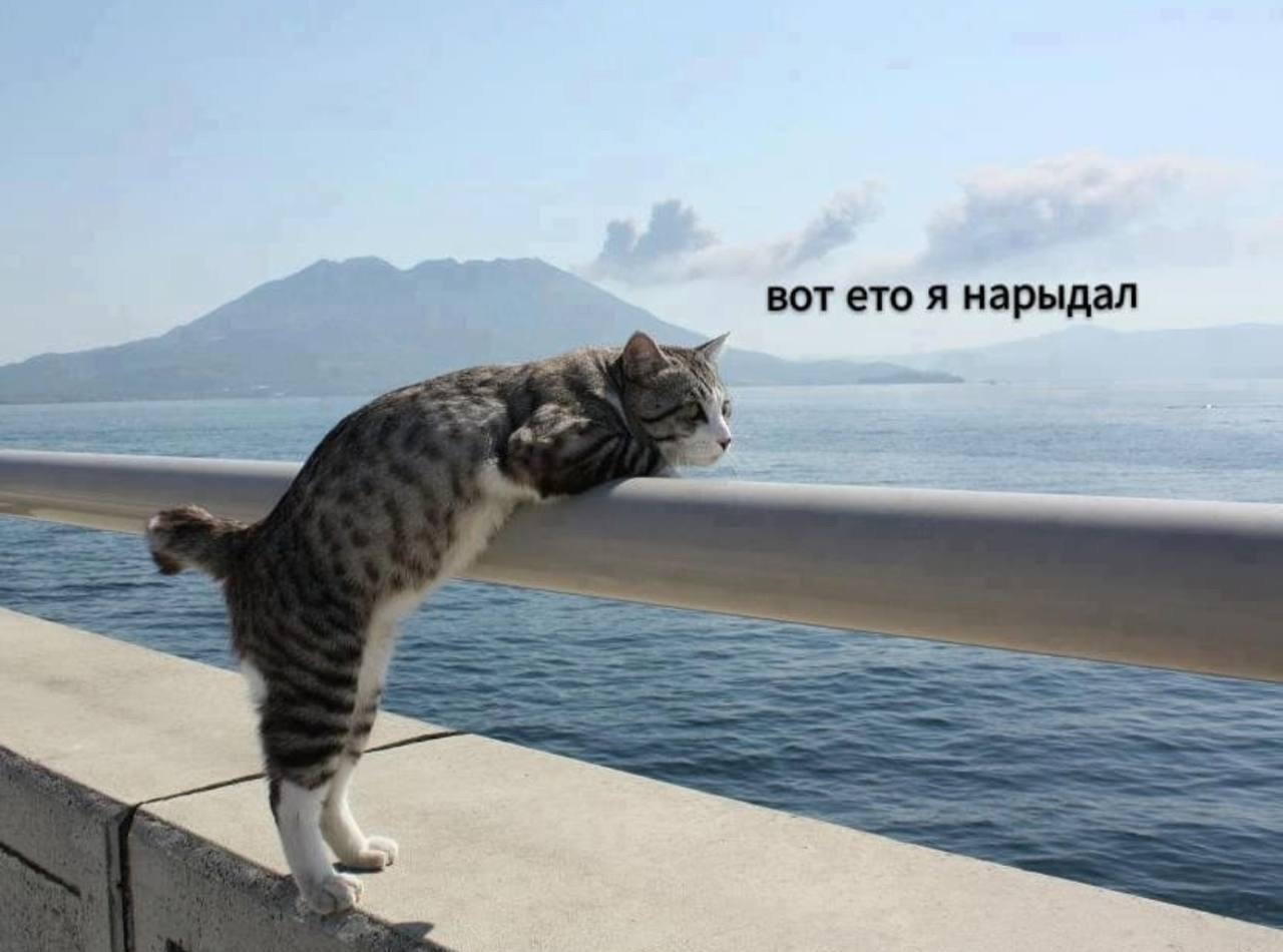    - 28  2022  00:12