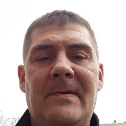 ,  , 51 