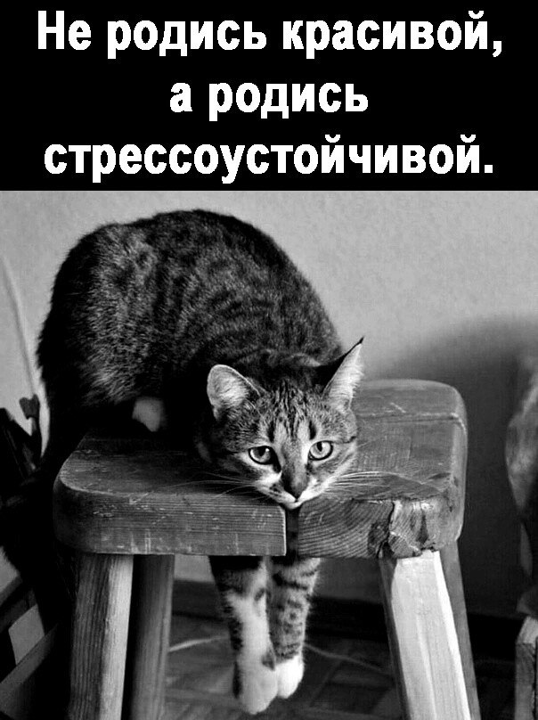 ***Victoria Viktorovna*** - 31  2022  05:20