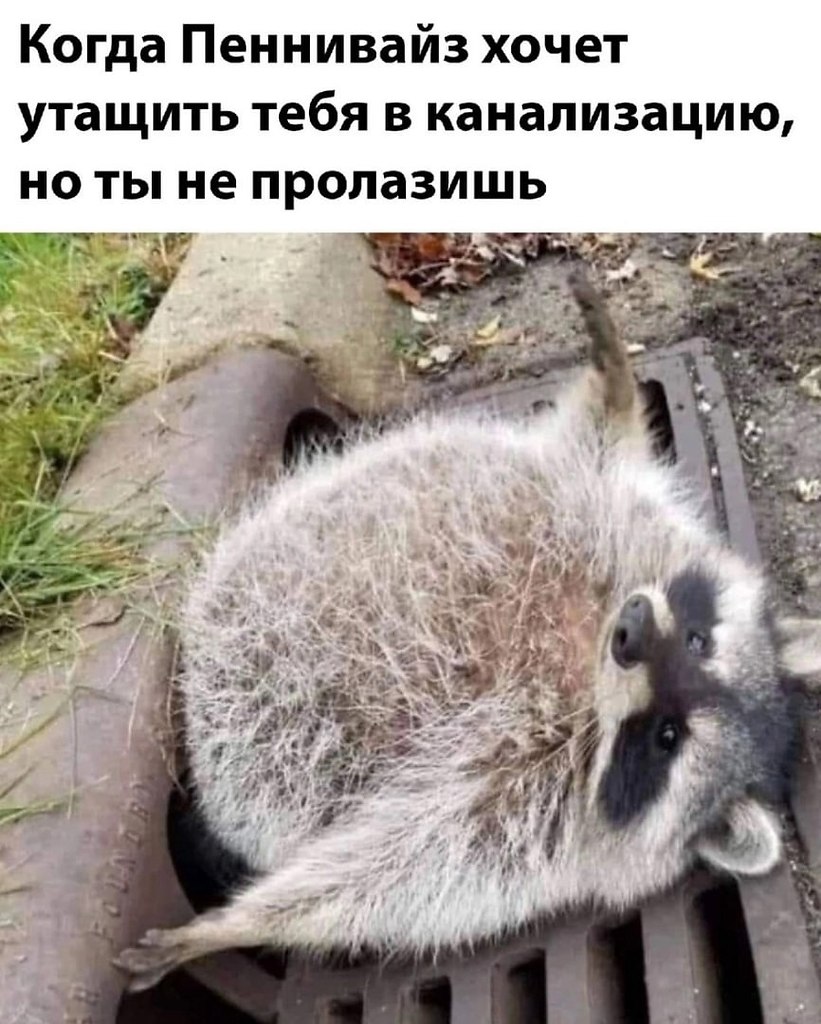 ...      :)
