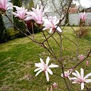 ���� Oleg, ������, 54 ���� - ��������� 7 ��� 2022 � ������ ���� ����������