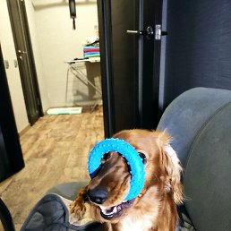 Sergei, ��������, 49 ���