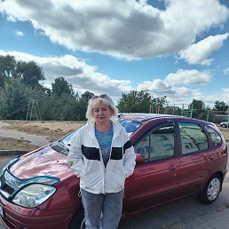 ���� �����, �����, 56 ��� - ��������� 13 ������� 2022