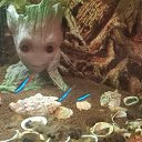 ���� �������, ������, 39 ��� - ��������� 4 ������ 2022 � ������ ���� ����������