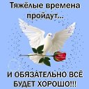  , , 37  -  7  2022
