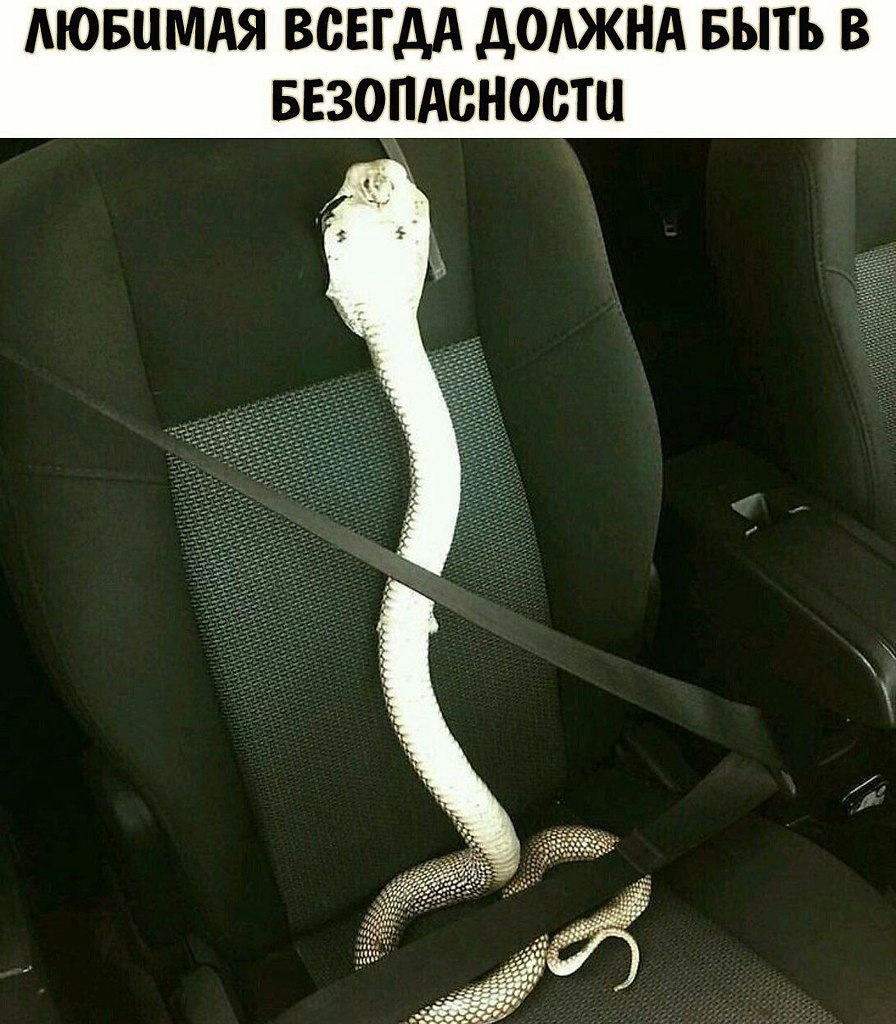    - 9  2022  23:42