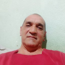  , , 55  -  8  2022