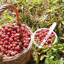 ���� ������, ������� ��������, 70 ��� - ��������� 25 ������ 2023